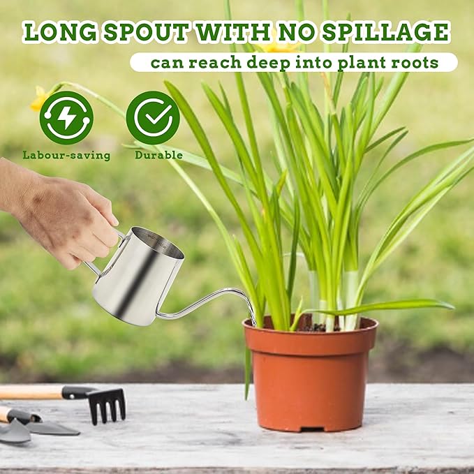 Small Watering Can for Indoor Plants, 12 OZ Mini Flower Watering Pots with Long Spout and Handle, Stainless Steel Water Can for Outdoor Garden House Office (Silver)