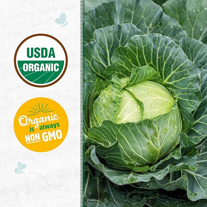 Back to The Roots 100% Organic Seed Packet - Cabbage 'Golden Acre' 140mg