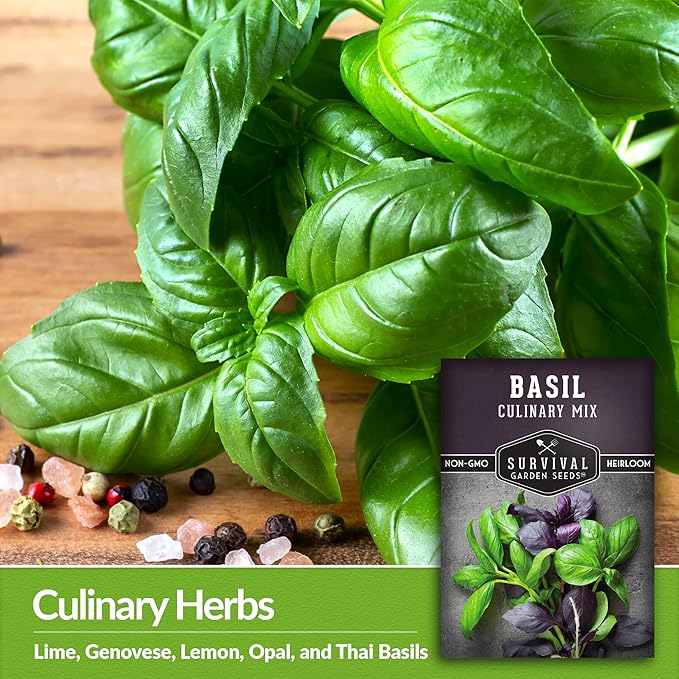 Survival Garden Seeds Culinary Basil Seed Mix -3 Seed Packs with Instructions to Plant & Grow Genovese, Lemon, Lime, Opal & Thai Basil in Your Home Vegetable Garden - Non-GMO Heirloom Varieties