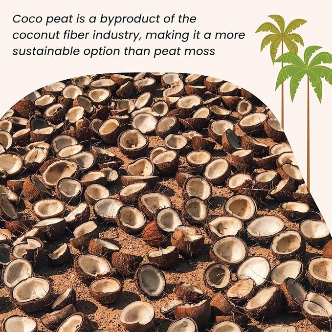 MagJo Naturals 100% Pure Coco Coir 4 Pack (44 Pounds Total) Coco Peat, Listed for Organic Gardening, Coconut Coir - Low EC and pH Balance - High Expansion Coco Fiber for Herbs, Flowers, Planting
