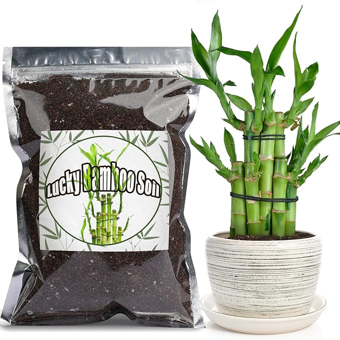 Doter Premium Lucky Bamboo Soil Mix 10qt, Indoor Plants Potting Mix for All Potted Luncky Bamboo, Promote Healthy Growth and Longevity