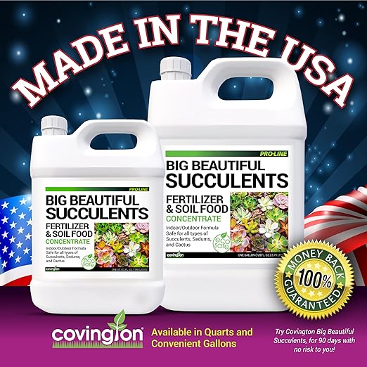 Covington Succulent Fertilizer Liquid (32oz) – Cactus & Succulent Plant Food for Indoor and Outdoor Use – Slow Release Liquid Fertilizer for Houseplants – Made in USA