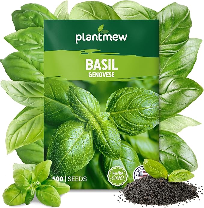 Genovese Basil Seeds for Planting - 500 Heirloom, Non-GMO Seeds - Genovese Basil Herb Seeds for Home Herb Garden, Indoor & Outdoor Herb Gardening