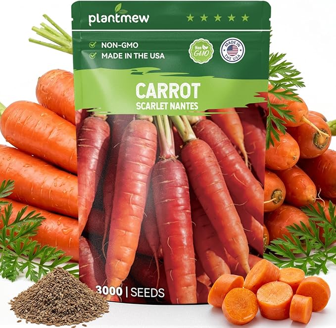 3000 Scarlet Nantes Carrot Seeds for Planting - Non-GMO Heirloom Variety, Fast Growing Vegetable Seeds for for Home Garden & Container Planting