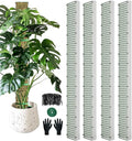 60" Metal Moss Pole, D Shape Sphagnum Moss Pole, Moss Poles for Climbing Plants, Monstera, Indoor Climbing Plants (4Pcs 60")