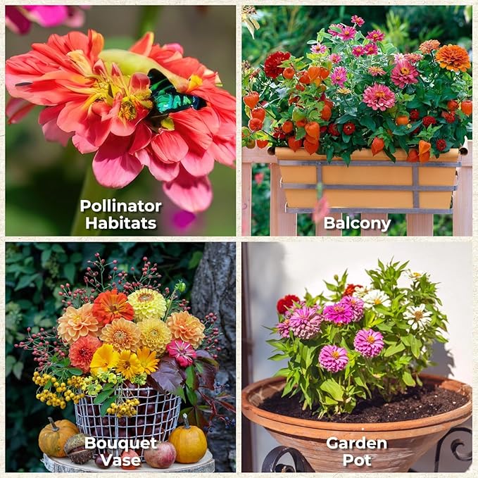 16000+ Zinnia Flower Seeds for 2026-7+ Color Mix, High Germination Rate, Perfect for Gardens, Mix Zinnia Wildflower Seeds, Mixed Colors and Large Blooms, Easy to Grow, Large 4 Ounce Packet