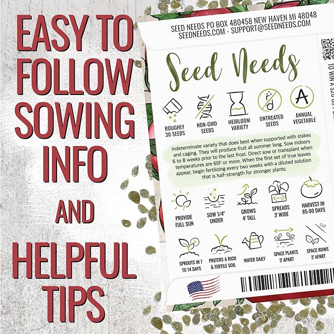 Seed Needs Beefsteak Tomato Seeds for Planting Indeterminate Tomatoes - Non-GMO Heirloom & Untreated Vegetable Seed to Plant a Home Grown Outdoor Veggie Garden (2 Packs)