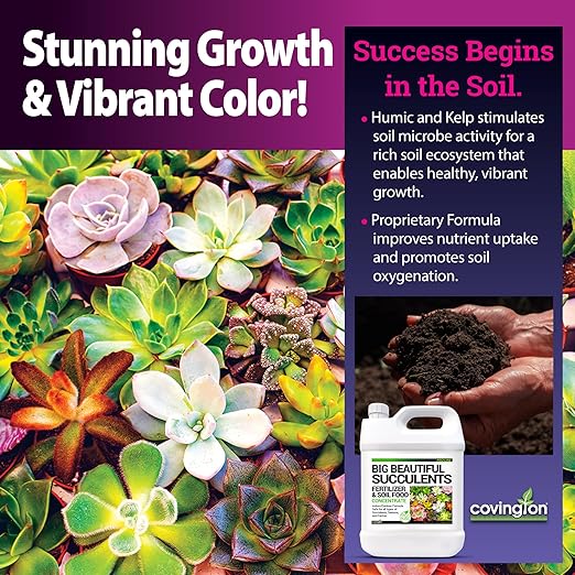 Covington Succulent Fertilizer Liquid (32oz) – Cactus & Succulent Plant Food for Indoor and Outdoor Use – Slow Release Liquid Fertilizer for Houseplants – Made in USA