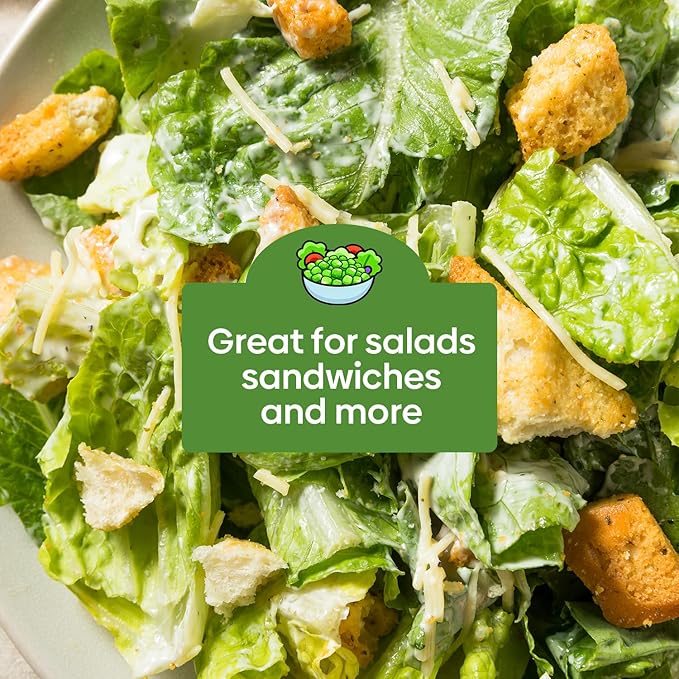 Groundio Lettuce Seeds, 5 Varieties Salad Greens Seeds, Non-GMO Heirloom Seeds for Planting Outdoor, Indoor or Hydroponic - Buttercrunch Lettuce, Romaine, Arugula, Kale and Spinach