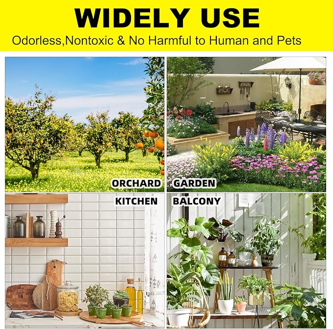 36PCS Fruit Fly Sticky Traps Fungus Gnat Traps Insect Trap for Plants Kitchen Indoor Outdoor White Flies Mosquitos Fungus Gnats Flying Insects Houseplant Gifts (Apple Shape)