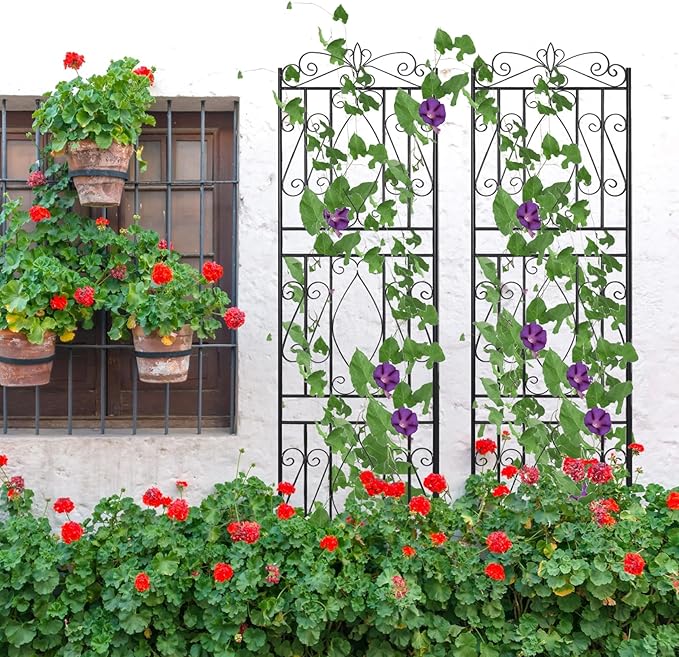 unho 2 Pack 71.6x20in Iron Arch Garden Trellis with Black Metal Coating–Perfect for Supporting Climbing Plants Outdoor, Roses, Vines, Flowers, and Vegetables