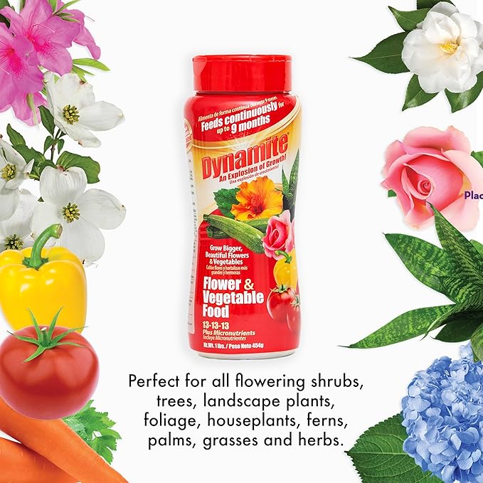 Dynamite Complete Plant Food Flower & Vegetable1 lb (Pack of 4)