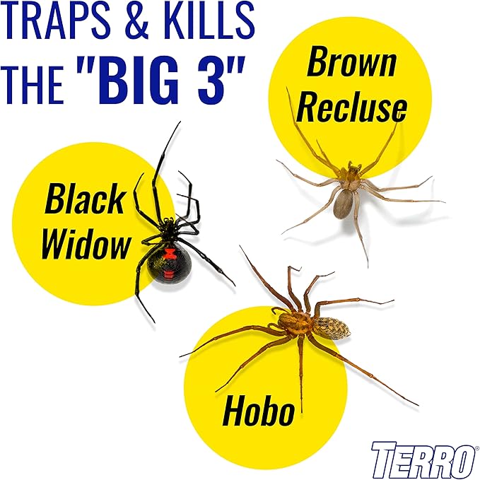 Terro T3206 Spider & Insect Traps Indoor, Insect Traps Indoor Sticky Pads, 4 Count (Pack of 1)