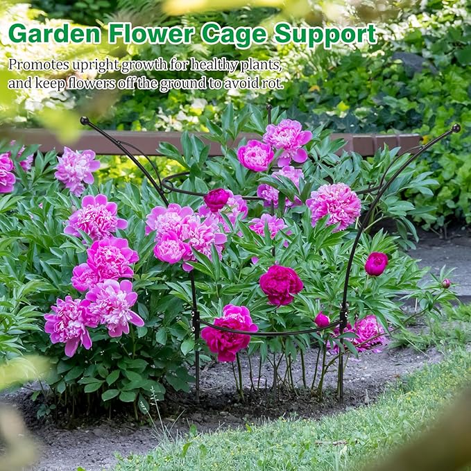 6 Pack Peony Cages and Supports Cages 13" D x 22.8" H Heavy Duty Metal Support Frame for Peonies & Roses Natural Bouquet Shape Garden Stakes for Outdoor Plants Flowers Ornamental (Black)