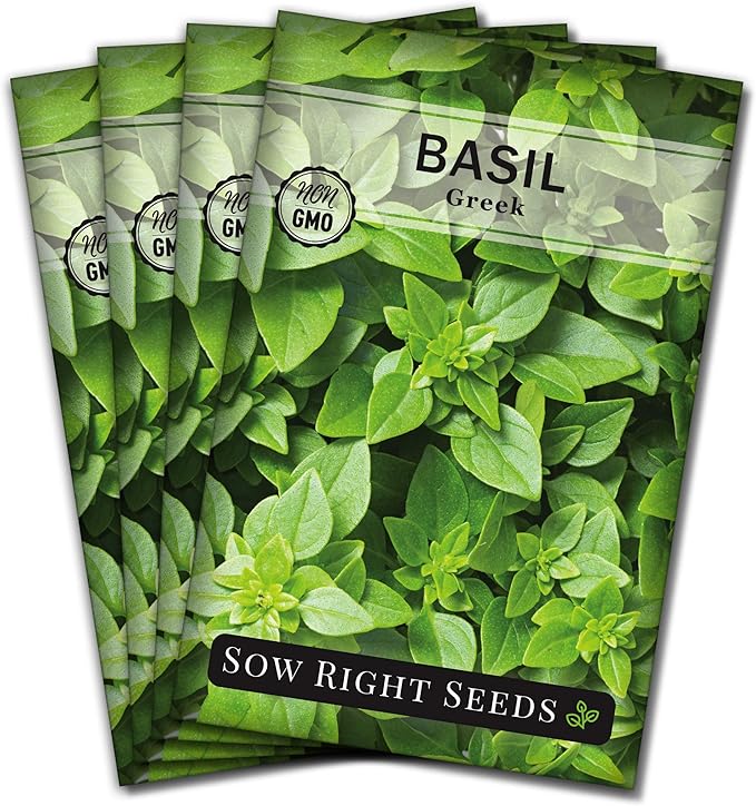 Sow Right Seeds - Greek Basil Seed for Planting - Non-GMO Heirloom Packet with Instructions for Easy Planting and Growing a Kitchen Herb Garden - Indoors & Outdoor - Small Leaved Dwarf Sweet Basil (4)