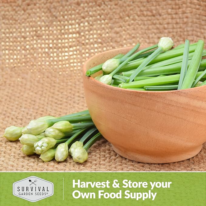 Survival Garden Seeds 3 Packs Garlic Chives Seed for Planting - Packet with Instructions to Grow Delicious Perennial Herbs in Your Home Vegetable Garden - Non-GMO Heirloom