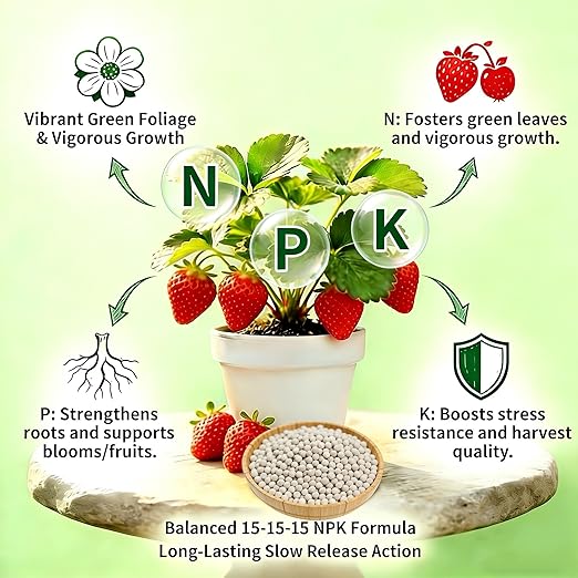 15-15-15 All Purpose Granular Garden Fertilizer for Flowers and Vegetable Beds, Indoor/Outdoor Plants, Fruit Trees and Lawns, Promotes Fruit Growth and Big Blooms（5.9LB）