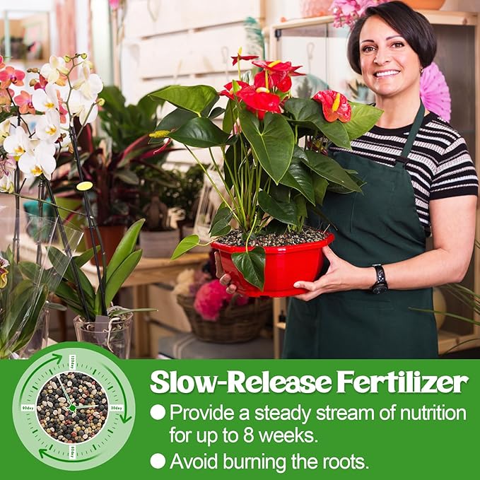 10-10-10 Slow-Release Premium Fertilizer - All-Purpose Plant Food for Indoor Outdoor Gardening Vegetables Flowers Lawn Trees Shrubs, 1 Quart