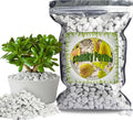 Organic Chunky Perlite for Plants (0.4"-0.8" in Diameter), Natural Horticultural Soil Additive Conditioner Mix, Improve Drainage and Ventilation, Enhance Soil Health and Root Growth (4 Quarts)