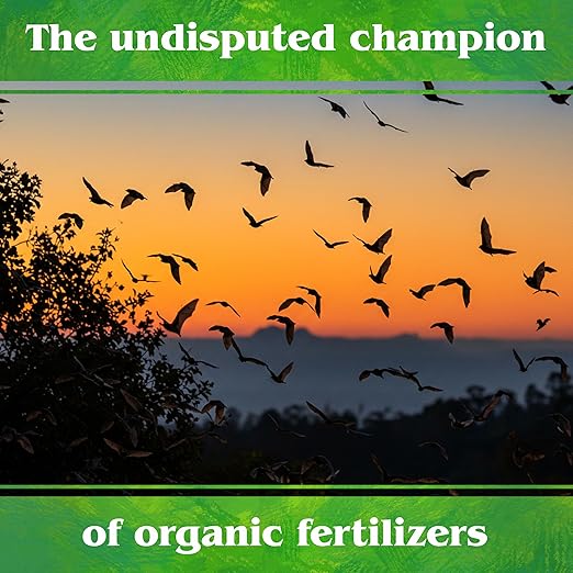 Down To Earth All Natural Fertilizers Organic Bat Guano - High Nitrogen Plant Food for Vegetative Growth 7-3-1, 10 lb
