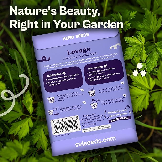 SVI 750 Lovage Seeds (Levisticum officinale) – Lovage Medicinal & Culinary Herb Seed Packets – Heirloom Perennial Herbs Seeds for Vegetable Garden Outdoor & Indoor Kitchen Herb Garden