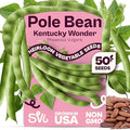 SVI 50 Kentucky Wonder Bush Bean Seeds (Phaseolus vulgaris) – Green Beans Seed Packets, Pole Beans – Heirloom Vegetable Seeds for Outdoor, Vegetable Garden, Containers
