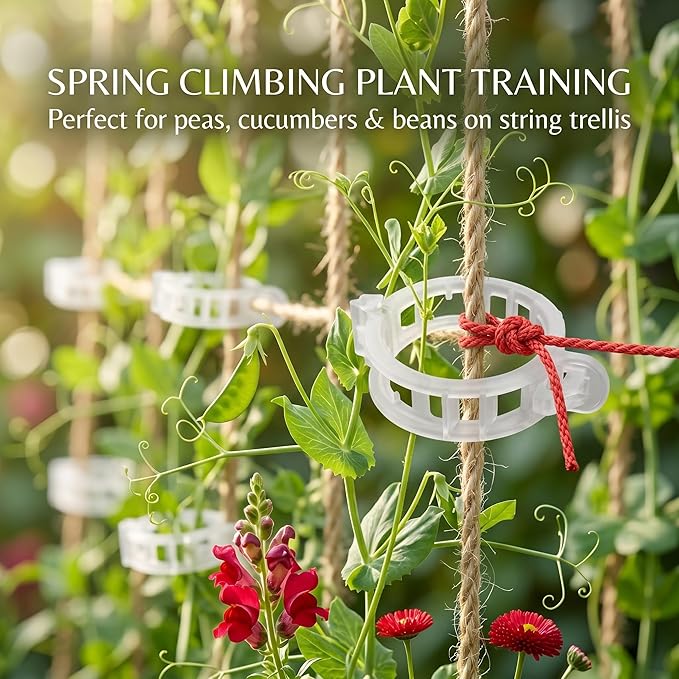300Pcs Tomato Clips, Thickened Plant Support Clips for Climbing Plants, Trellis Clips for Tomato Grape Vine, Garden Clips for String Trellis Vegetables, Plant Fixing Clips Help Grow Upright