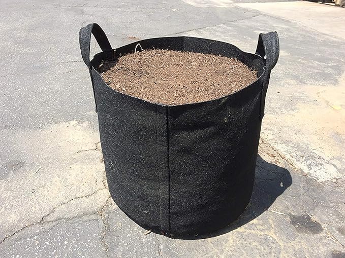 247Garden 5-Pack 10-Gallon Aeration Fabric Pot/Plant Grow Bag w/Handles (260 GSM, Black, 13H x 15D)