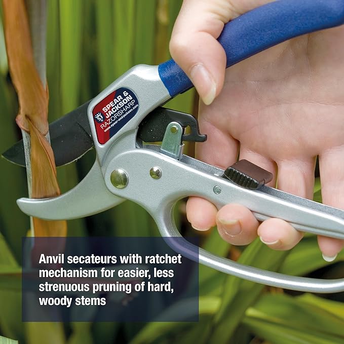 Spear & Jackson Razorsharp Ratchet Anvil Pruners, Heavy-Duty Garden Shears for Cutting Thick Branches with Ratchet Mechanism