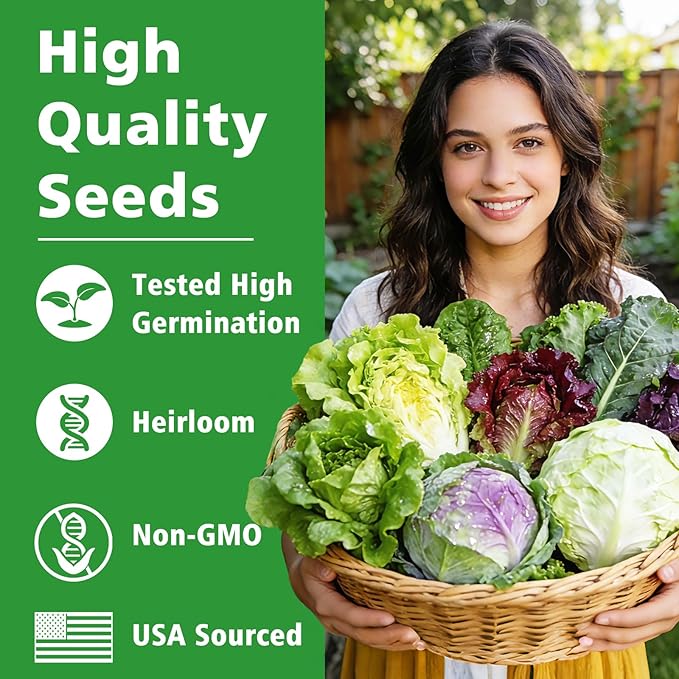 Lettuce Seeds, 10 Varieties Individual Packs, 40000+ Non-GMO Heirloom Vegetable Seeds for Planting Indoor Outdoor for Fresh Salad, Easy to Grow for Garden Beginners, Gifts for Women Men Plant Lovers.