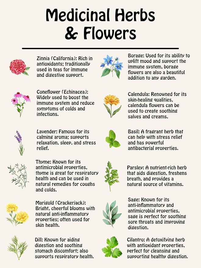 Medicinal Herb and Flower Set - 12 Varieties of Non-GMO & Heirloom Flowers and Herbs - Basil, Cilantro, Calendula, Lavender, Sage, & More!