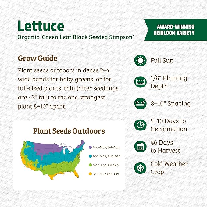 Back to The Roots 100% Organic Heirloom Seeds - Green Leaf Lettuce Value Pack (840mg Total)
