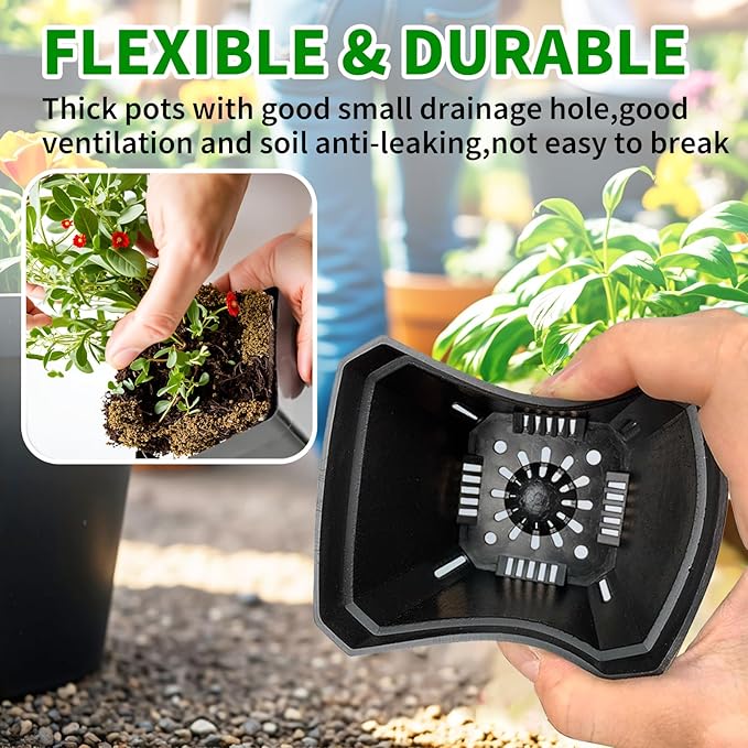 Square Nursery Pots 60Pcs 3" Deep Succulent Plastic Pots Small Flower Planter Seeds Starter Germination Pots for Plants, Succulent, Flower