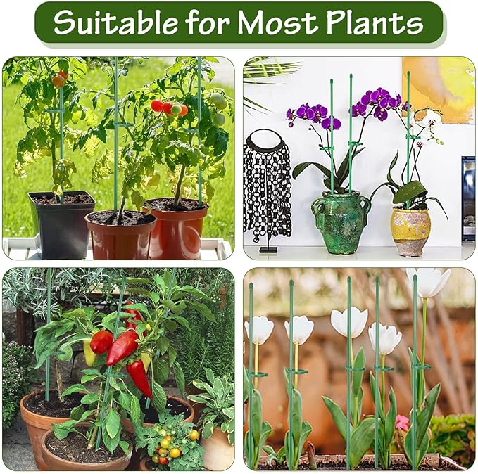 76pcs Plant Stakes for Indoor Plants, 25 Pack 16 inch Plant Support Stakes, Fiberglass Garden Plant Sticks Support with Rings Clips &Tie for Indoor and Outdoor Plants Flowers Tomatoes Orchid