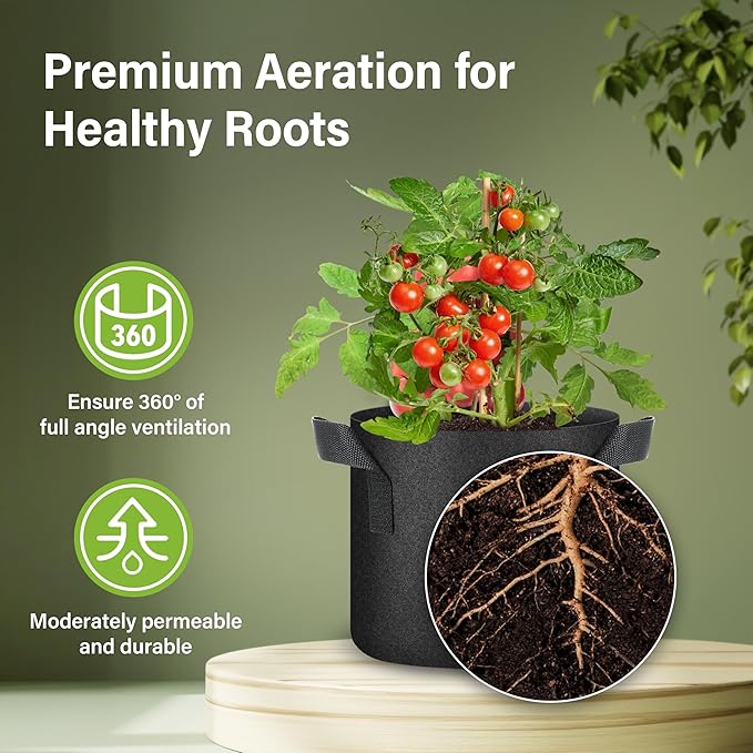 HealSmart Plant Grow Bags 2 Gallon, Tomoato Planter Pots 10-Pack with Handles, Aeration Nonwoven Fabric, Heavy Duty Gardening Planter for Vegetable, Herbs and Flowers, Black 2024 Version