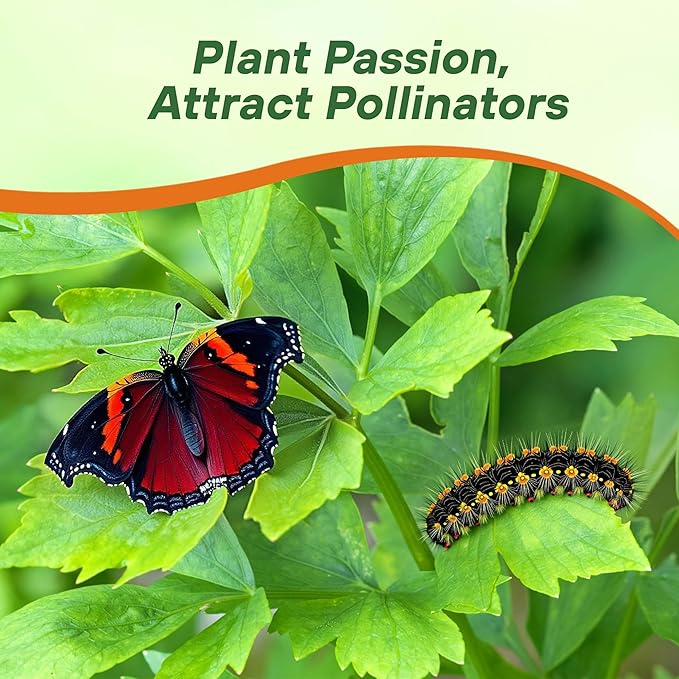 Outsidepride Lovage Vegetable Seeds - 1000 Pcs. Perennial, Easy to Grow & Drought-Tolerant, Herb Seeds for Planting Edible & Vibrant Yellow-Green Blooms, Great for Xeriscaping & Pollinator Gardens