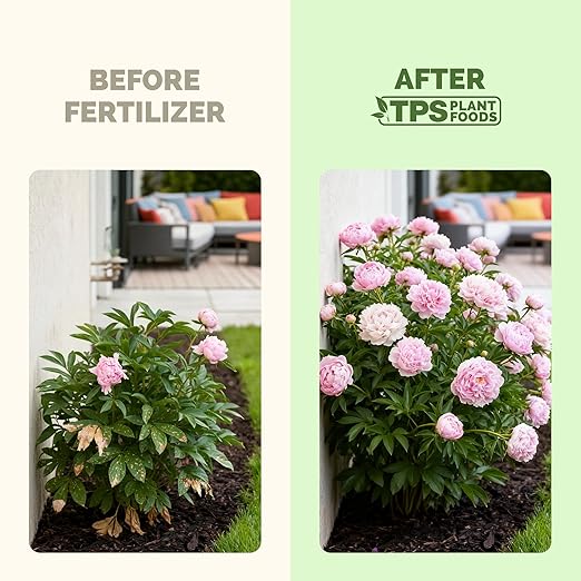Peony Fertilizer – Liquid Plant Food for Bigger Blooms, Stronger Stems & Healthy Root Development, 8 oz