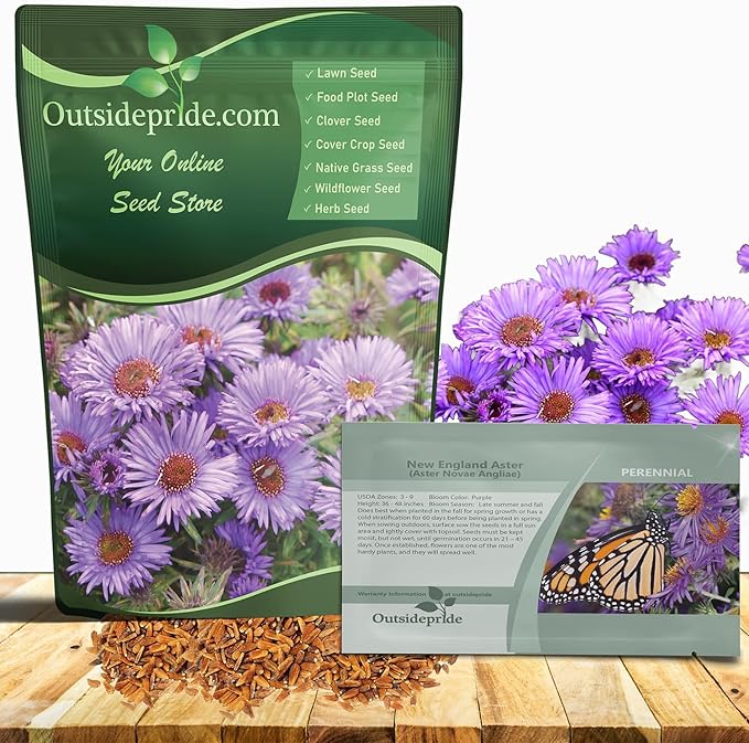 Outsidepride New England Aster Seeds - 1000 Pcs Perennial, Hardy & Pollinator Friendly Flower Seeds for Planting Vibrant Purple Blooms and Lance-Shaped Leaves, Ideal for Meadows & Aesthetic Gardens