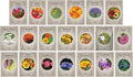Flower Seed Set - Flower Varieties of Non-GMO & Heirloom Premium Seeds for Planting - Sunflower, Marigold, Lavender, and More! (20, Set 1)