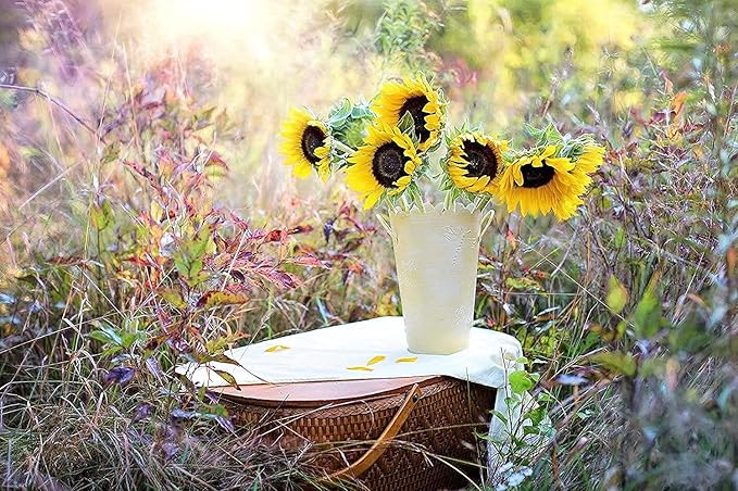 Set of 1000 Flower Seed Packets - Flower Seeds in Bulk - 15 or More Varieties Available - Great for Creating Colorful Gardens (1000)