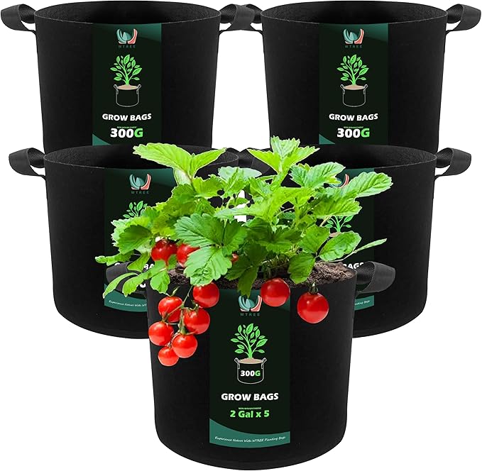 5-Pack 2 Gallons Grow Bags - Heavy Duty 300G Thickened Aeration Nonwoven Fabric Pots with Handles - Ideal Cloth Pots for Plants - Planters Accessories, Garden Vegetables Supplies