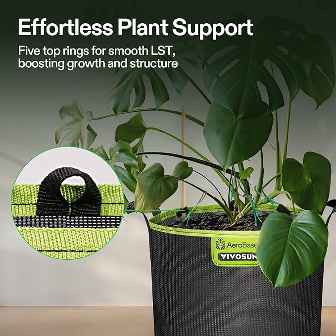 VIVOSUN 6-Pack 3-Gallon AeroBase Grow Bags, Durable Mesh Fabric Plant Container with Breathable Base and Sturdy Handles, Black