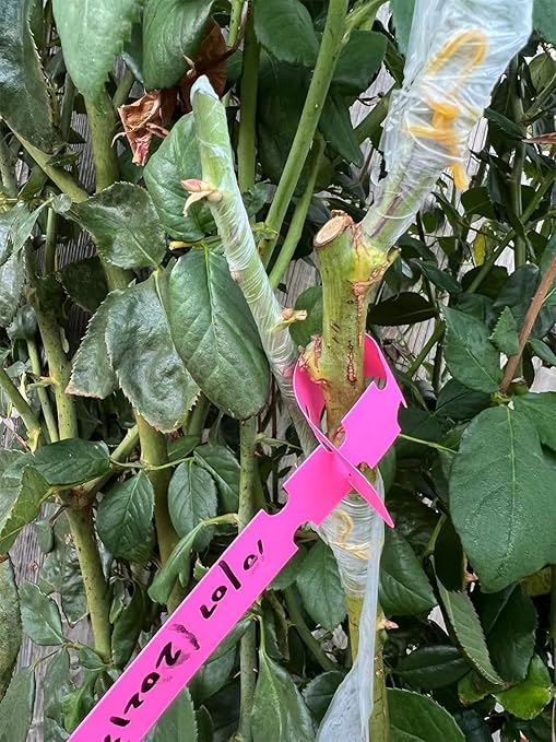 Grafting Tape 2 PCS, Stretchable Garden Grafting Tape Plants Repair Tapes for Floral Fruit Tree and Poly Budding Tape - Green & White