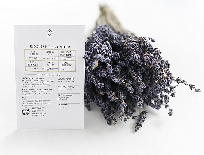 Sereniseed Certified Organic Herb Seeds (20-Pack) – Non GMO, Heirloom – Seed Starting Video – Basil, Cilantro, Oregano, Thyme, Parsley, Lavender, Chives, Sage, Dill Seeds for Indoor & Outdoor Planting