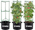 ANPHSIN 3 Sets Tomato Cages with 10 Gallon Grow Bags - 48" Stable Plant Garden Planter, Flowers Vegetable Trellis Pots for Tomato Vertical Climbing Plants Vines