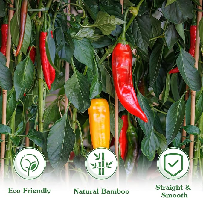 Plant Stakes,25Pcs Bamboo Stakes,4 FT Natural Bamboo Plant Support Stakes,Bamboo Stakes for Indoor and Outdoor Plants Tomatoes Beans Flowers Potted Plants Climbing Support