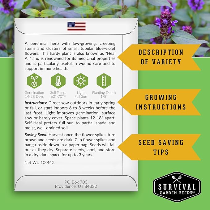 Self-Heal Seeds for Planting - Prunella Vulgaris (All-Heal, Selfheal) Hardy Perennial Ground Cover & Pollinator Wildflower, Non-GMO Heirloom Herb - Survival Garden Seeds (2 Packs)