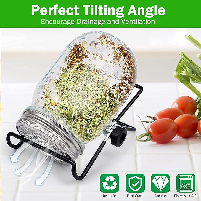 Sprouting Jar Kit, Wide Mouth Quart Mason Jars with Screen Sprout Lids & Stand, Seeds Germination Growing Kit, Seed Sprouter Set for Growing Organic Broccoli Alfalfa Mung Microgreens Bean, 2 Pack
