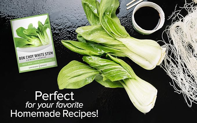 Gardeners Basics, Bok Choy Chinese Cabbage Seeds for Planting - (Pak Choi) Heirloom, Non-GMO Vegetable Variety- 1 Gram Seeds Great for Summer, Spring, Fall and Winter Gardens