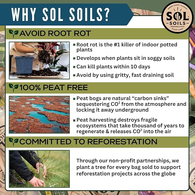 Sol Soils Chunky Perlite for Plants - Lightweight, All-Natural Volcanic Glass Soil Amendment to Improve Drainage & Aeration – 1 Quart